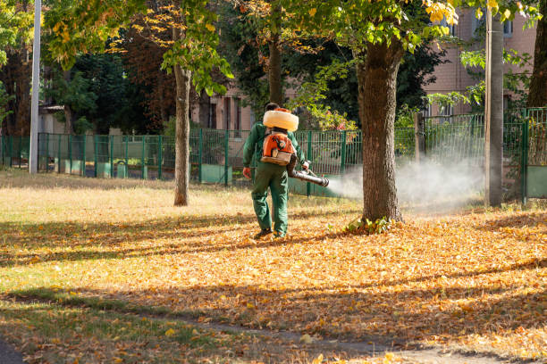 Elmwood Park, IL Pest Control Company